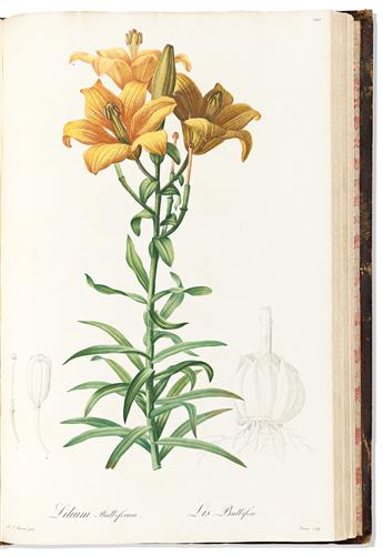 (BOTANICAL.) Pierre-Joseph Redouté. Les Liliacées (volumes 3 and 4).